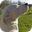 luleyleo
